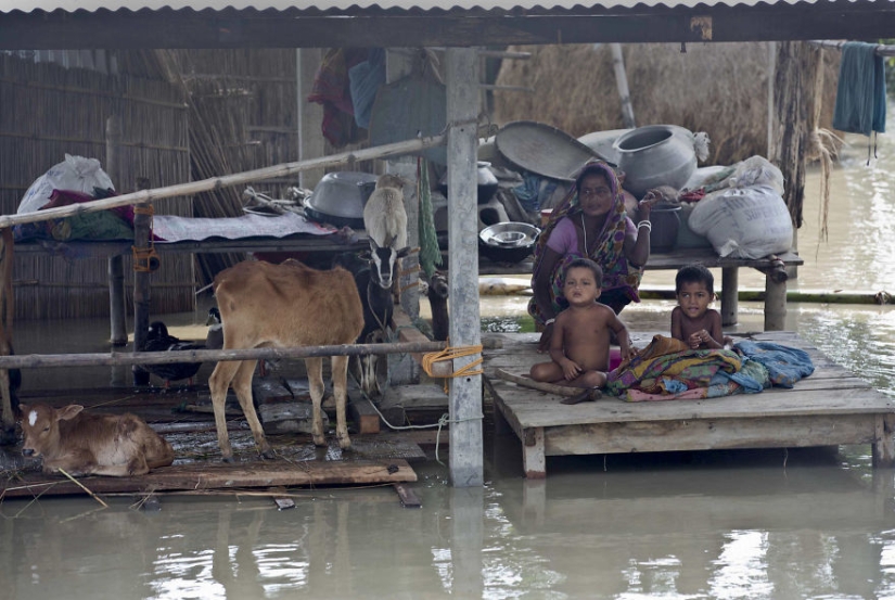 El sur de Asia sufre las peores inundaciones en una década, pero nadie habla de ello