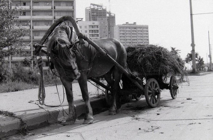 El suroeste de Moscú en la década de 1970