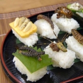 El sushi más exótico del mundo.