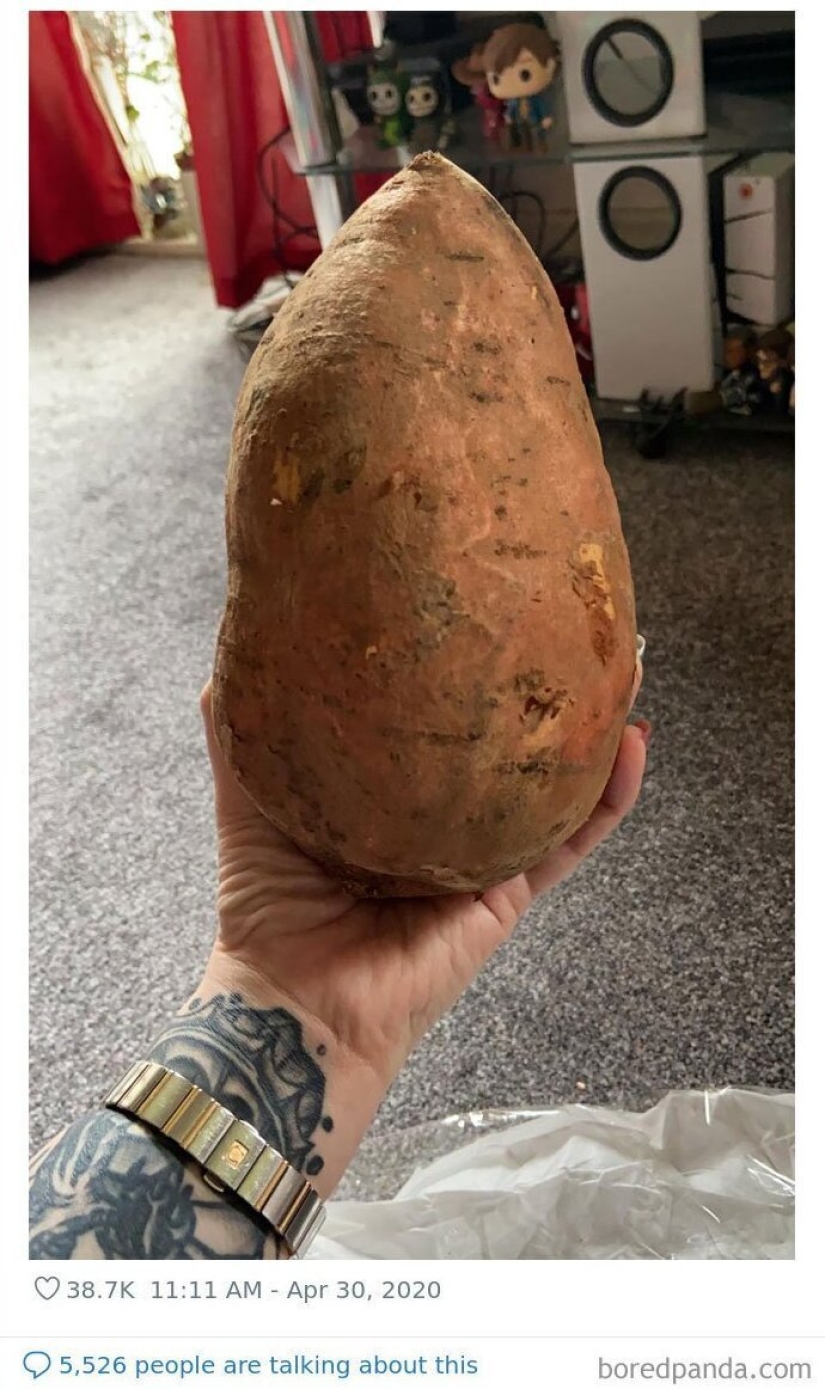 El tamaño importa! 30+ ejemplos, cuando los mensajeros trajeron el gigante de frutas y verduras