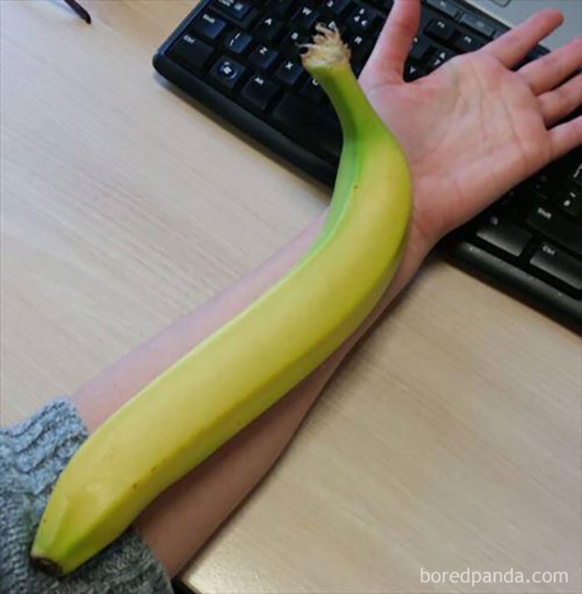 El tamaño importa! 30+ ejemplos, cuando los mensajeros trajeron el gigante de frutas y verduras