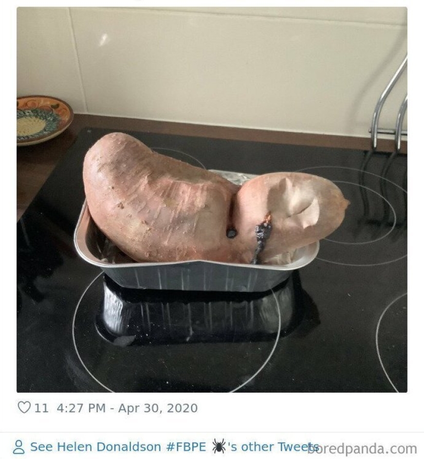 El tamaño importa! 30+ ejemplos, cuando los mensajeros trajeron el gigante de frutas y verduras