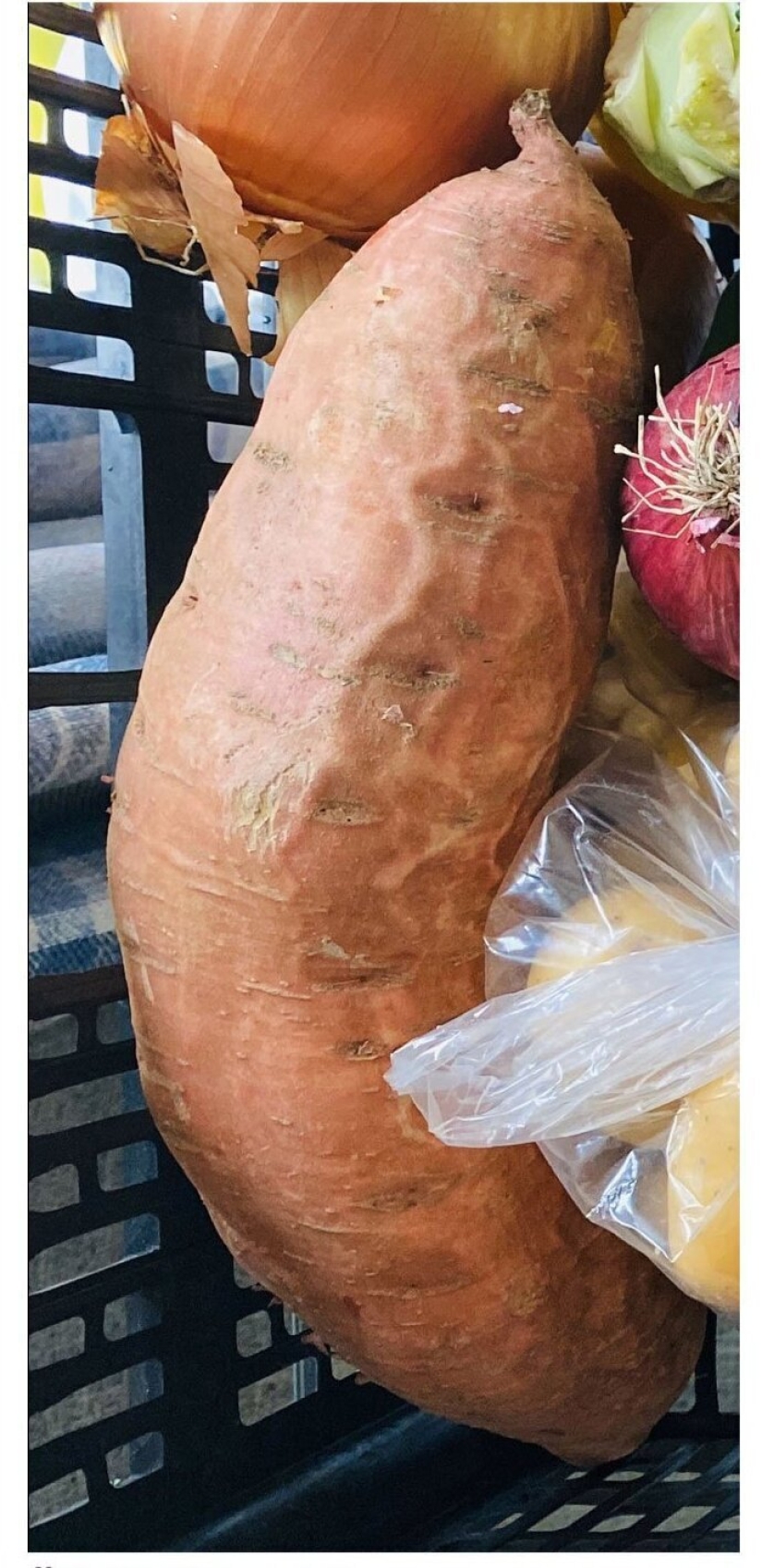 El tamaño importa! 30+ ejemplos, cuando los mensajeros trajeron el gigante de frutas y verduras