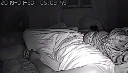 El tipo instaló una cámara en su habitación para filmar lo que hace su gato por la noche El tipo instaló una cámara en su habitación para filmar lo que hace su gato por la noche