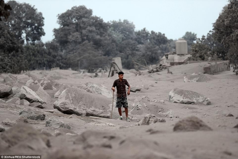 El volcán de Fuego en Guatemala mató a 69 personas en un día. El número de muertos está creciendo