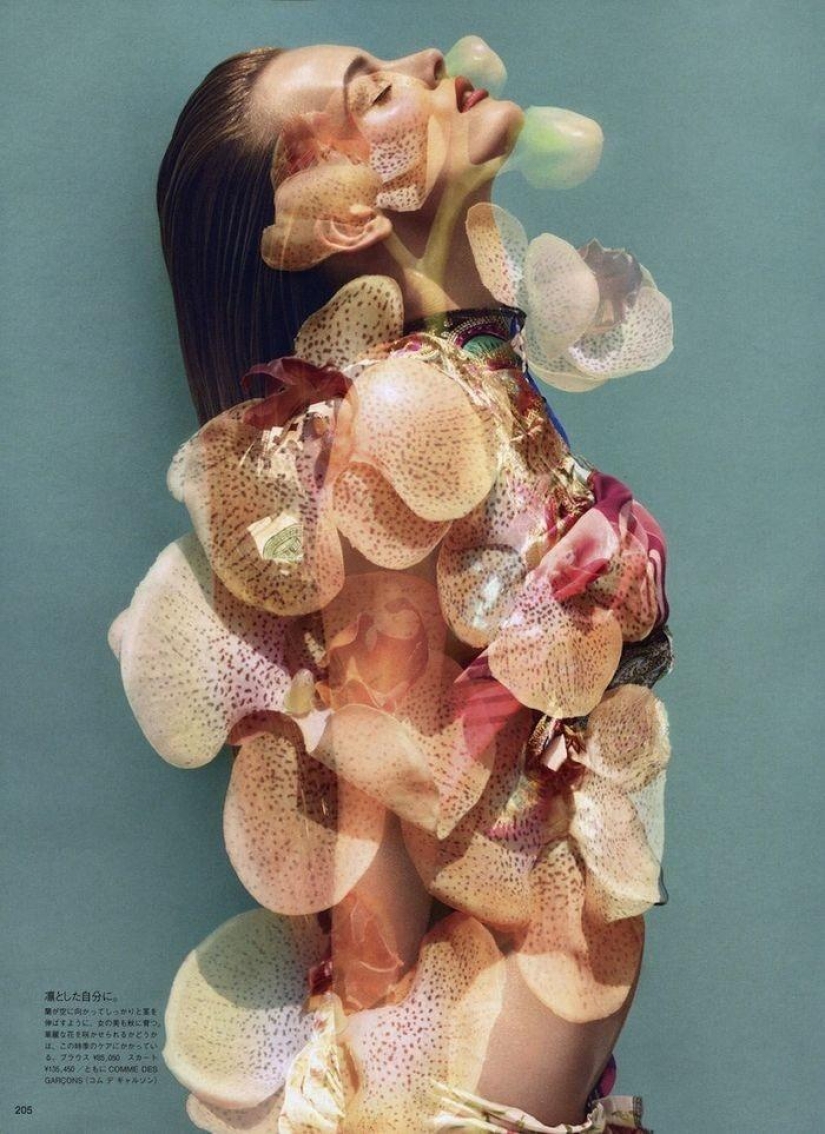 Elegance and sensuality – photography by Solve Sundsbo