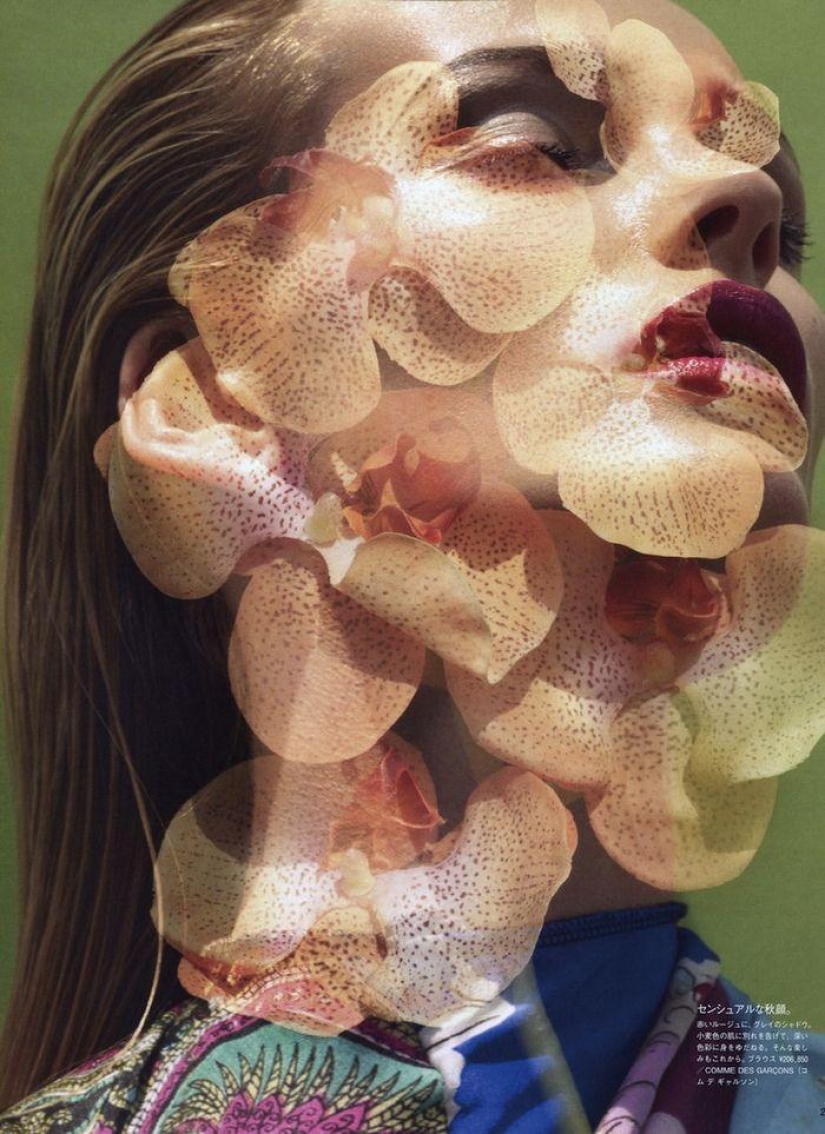Elegance and sensuality – photography by Solve Sundsbo