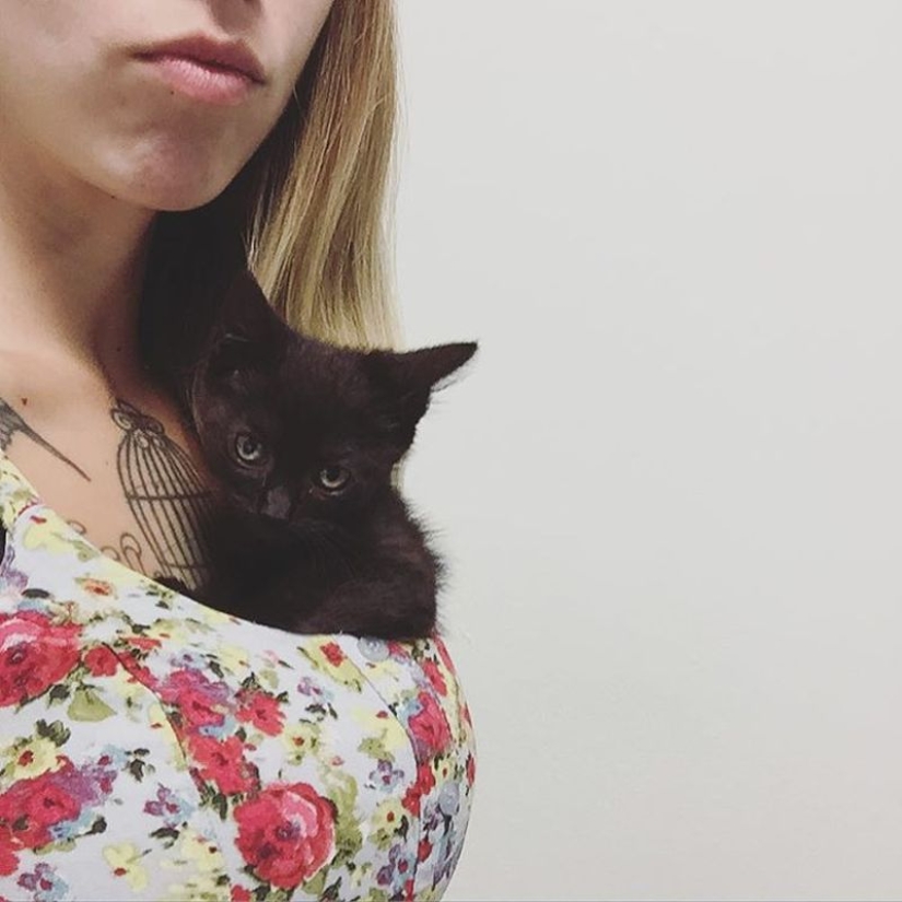 Ella salva gatitos. El trabajo más lindo del mundo