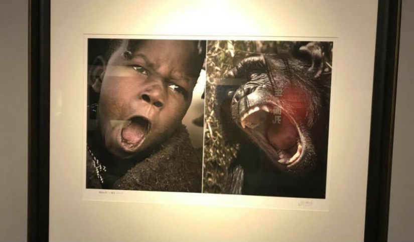 En China, se cerró una exposición fotográfica, donde los africanos fueron comparados con animales salvajes En China, se cerró una exposición fotográfica, donde los africanos fueron comparados con animales salvajes