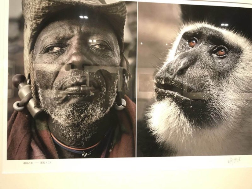 En China, se cerró una exposición fotográfica, donde los africanos fueron comparados con animales salvajes En China, se cerró una exposición fotográfica, donde los africanos fueron comparados con animales salvajes