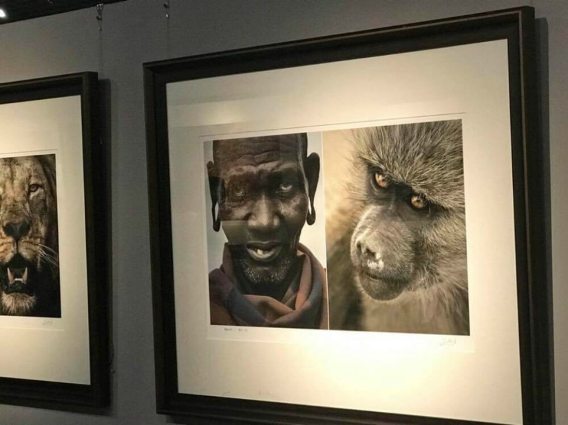 En China, se cerró una exposición fotográfica, donde los africanos fueron comparados con animales salvajes En China, se cerró una exposición fotográfica, donde los africanos fueron comparados con animales salvajes