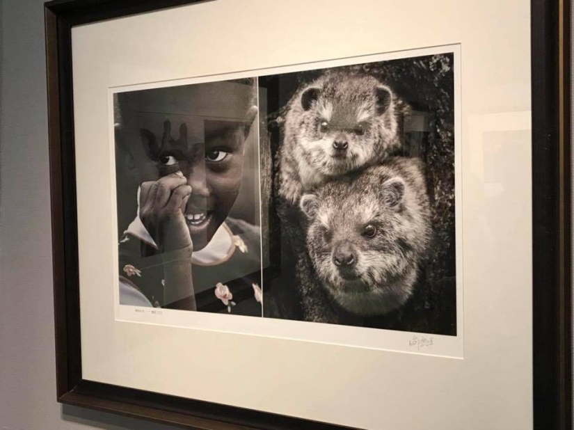 En China, se cerró una exposición fotográfica, donde los africanos fueron comparados con animales salvajes En China, se cerró una exposición fotográfica, donde los africanos fueron comparados con animales salvajes