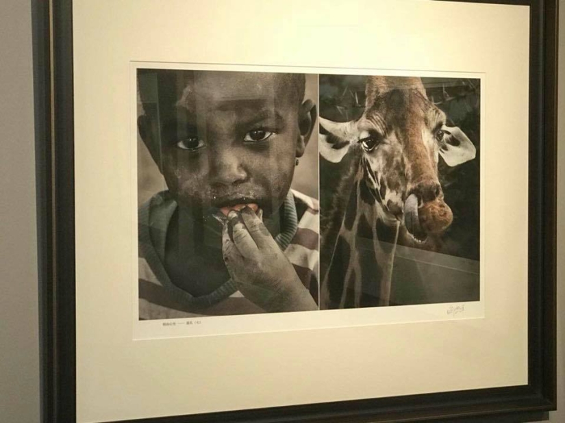 En China, se cerró una exposición fotográfica, donde los africanos fueron comparados con animales salvajes En China, se cerró una exposición fotográfica, donde los africanos fueron comparados con animales salvajes