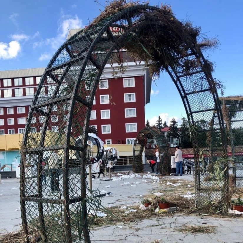 En el Día de la ciudad, los residentes de Stavropol se comió un elefante y royó la corona de un árbol