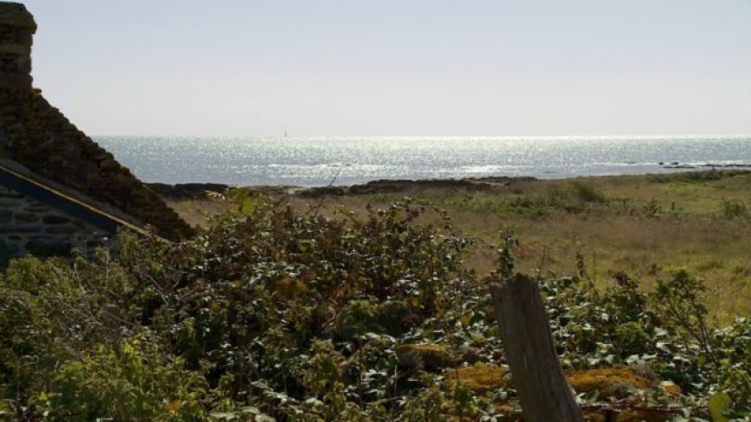En Francia, buscan introvertidos que vivan en una isla con focas, ovejas y conejos