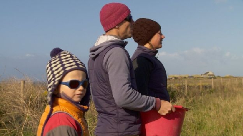 En Francia, buscan introvertidos que vivan en una isla con focas, ovejas y conejos