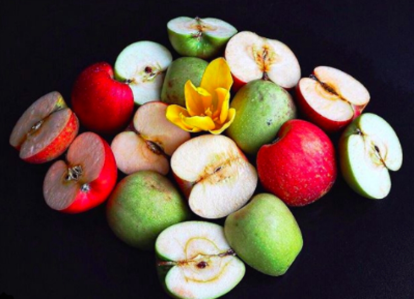 En la cara de la comida terrible y deliciosa: una mujer estadounidense elogia la comida "fea" en Instagram En la cara de la comida terrible y deliciosa: una mujer estadounidense elogia la comida "fea" en Instagram