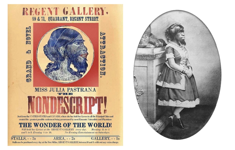 En la cara de un interior terrible y amable: la vida y muerte de una Julia barbuda, una monita de México En la cara de un interior terrible y amable: la vida y muerte de una Julia barbuda, una monita de México