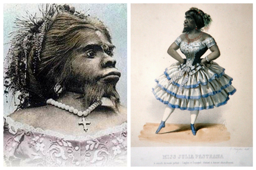 En la cara de un interior terrible y amable: la vida y muerte de una Julia barbuda, una monita de México En la cara de un interior terrible y amable: la vida y muerte de una Julia barbuda, una monita de México