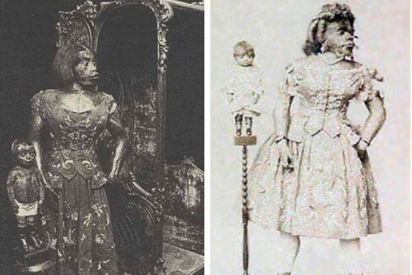 En la cara de un interior terrible y amable: la vida y muerte de una Julia barbuda, una monita de México En la cara de un interior terrible y amable: la vida y muerte de una Julia barbuda, una monita de México