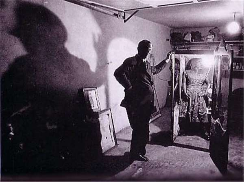 En la cara de un interior terrible y amable: la vida y muerte de una Julia barbuda, una monita de México En la cara de un interior terrible y amable: la vida y muerte de una Julia barbuda, una monita de México