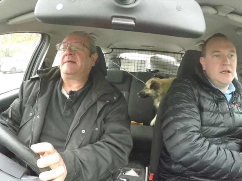 En Londres, buscan a un maníaco que mató a más de 360 animales en 2 años En Londres, buscan a un maníaco que mató a más de 360 animales en 2 años