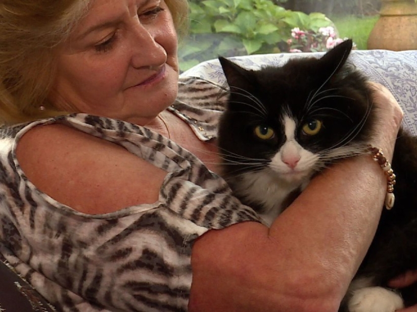 En Londres, buscan a un maníaco que mató a más de 360 animales en 2 años En Londres, buscan a un maníaco que mató a más de 360 animales en 2 años