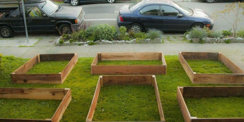 En solo 60 días, este tipo ha cultivado un jardín fresco frente a la casa