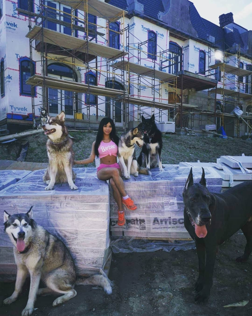 Es un perro o un caballo? El Gran Trueno Danés mide más de 2 metros de altura y pesa 95 kilos Es un perro o un caballo? El Gran Trueno Danés mide más de 2 metros de altura y pesa 95 kilos