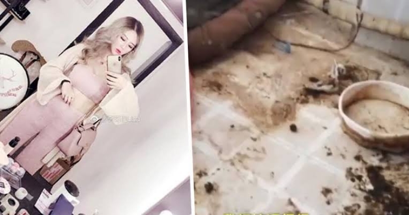 Escándalo sucio: la casera enojada del apartamento mostró el srach en el que vive la glamorosa bloguera