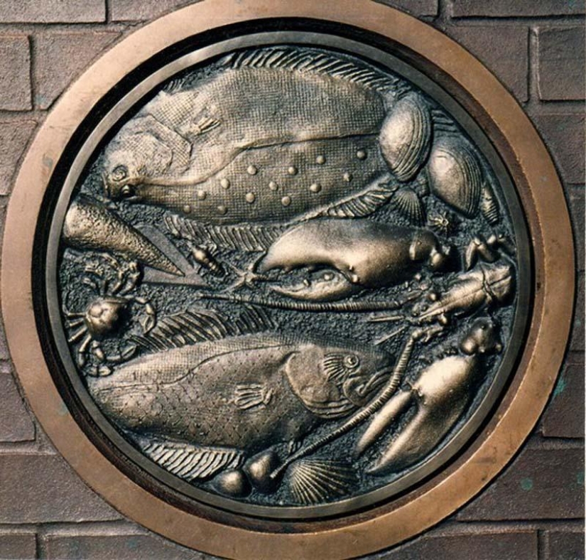 Escotillas de diferentes países del mundo Escotillas de diferentes países del mundo