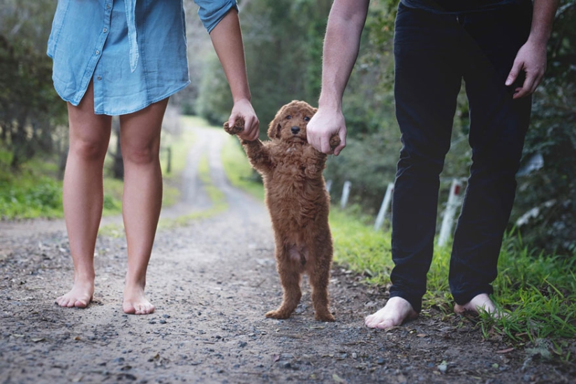 Esta pareja se cansó de que le preguntaran por los niños y organizó una "sesión de fotos de recién nacidos" para su perro