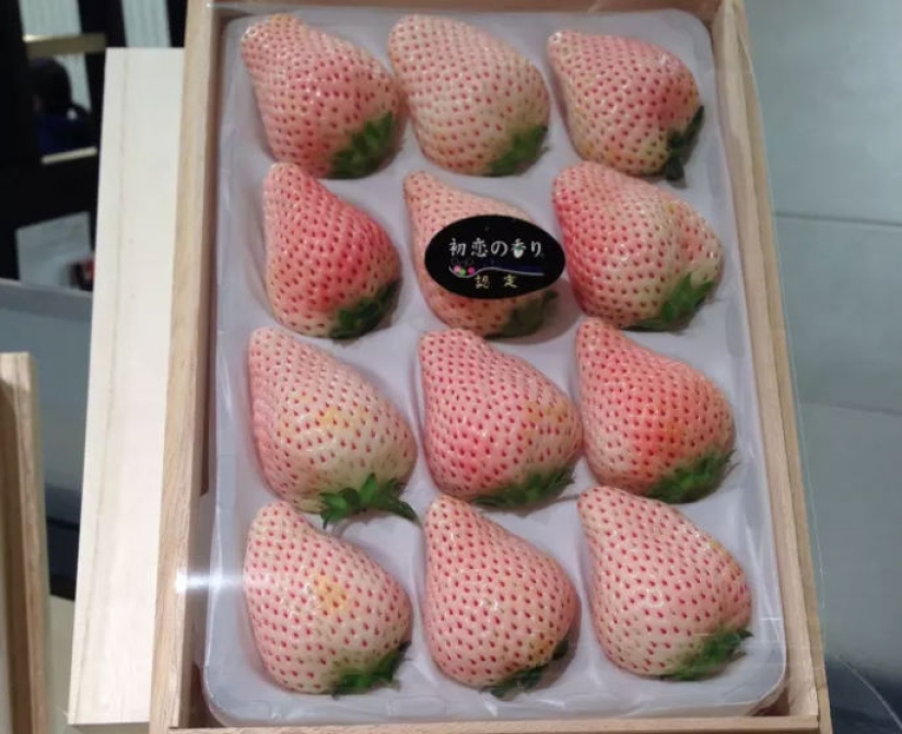 Estacionarse estrictamente al revés, dormir en el trabajo y otras rarezas asombrosas de Japón