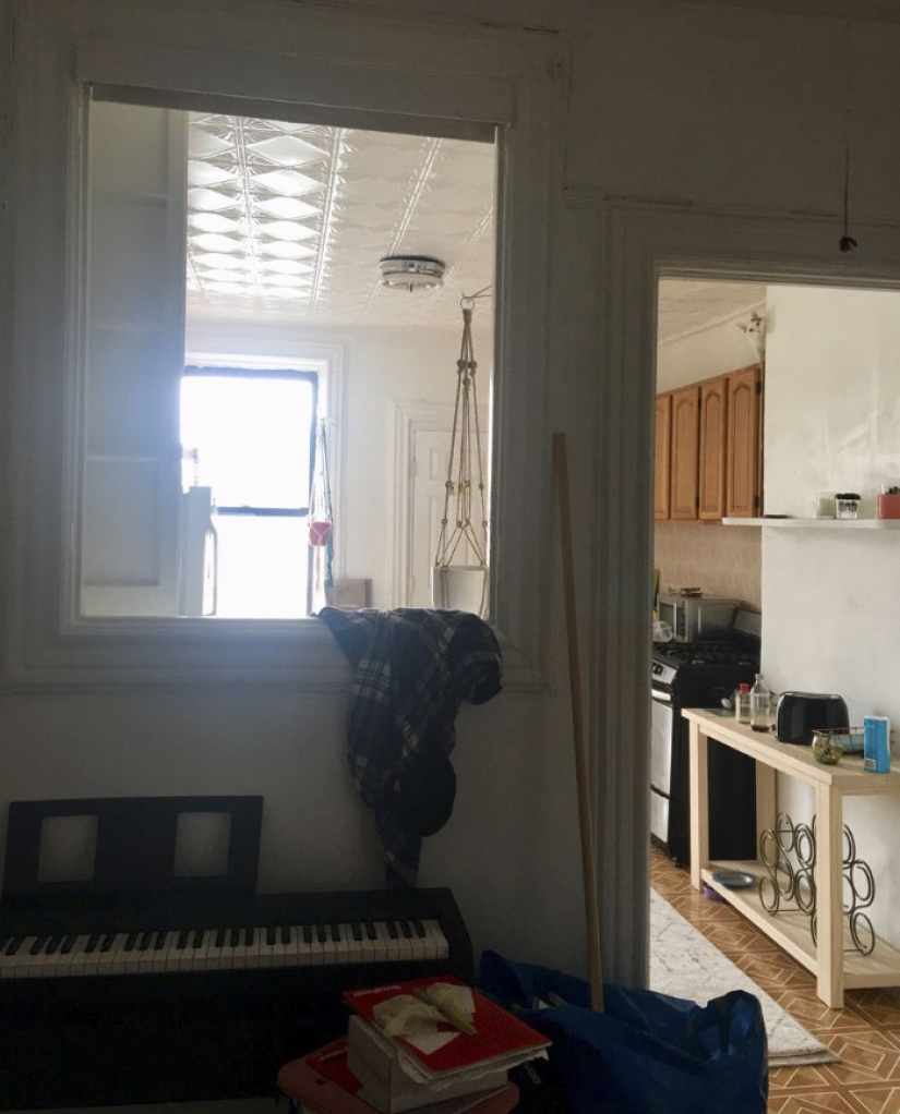 Este gato ninja se esconde en un lugar nuevo todos los días, y no es tan fácil encontrarla Este gato ninja se esconde en un lugar nuevo todos los días, y no es tan fácil encontrarla
