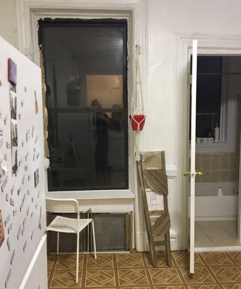 Este gato ninja se esconde en un lugar nuevo todos los días, y no es tan fácil encontrarla Este gato ninja se esconde en un lugar nuevo todos los días, y no es tan fácil encontrarla