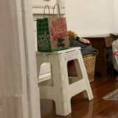 Este gato ninja se esconde en un lugar nuevo todos los días, y no es tan fácil encontrarla