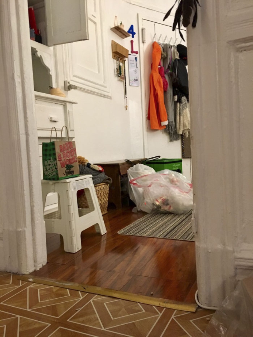 Este gato ninja se esconde en un lugar nuevo todos los días, y no es tan fácil encontrarla Este gato ninja se esconde en un lugar nuevo todos los días, y no es tan fácil encontrarla