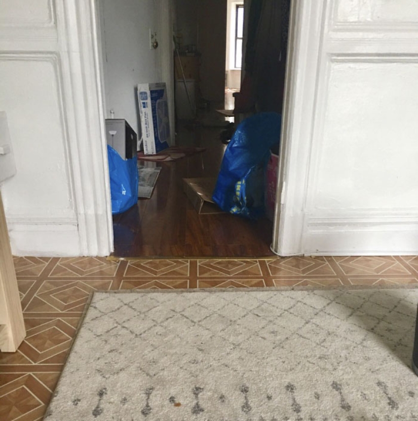 Este gato ninja se esconde en un lugar nuevo todos los días, y no es tan fácil encontrarla Este gato ninja se esconde en un lugar nuevo todos los días, y no es tan fácil encontrarla
