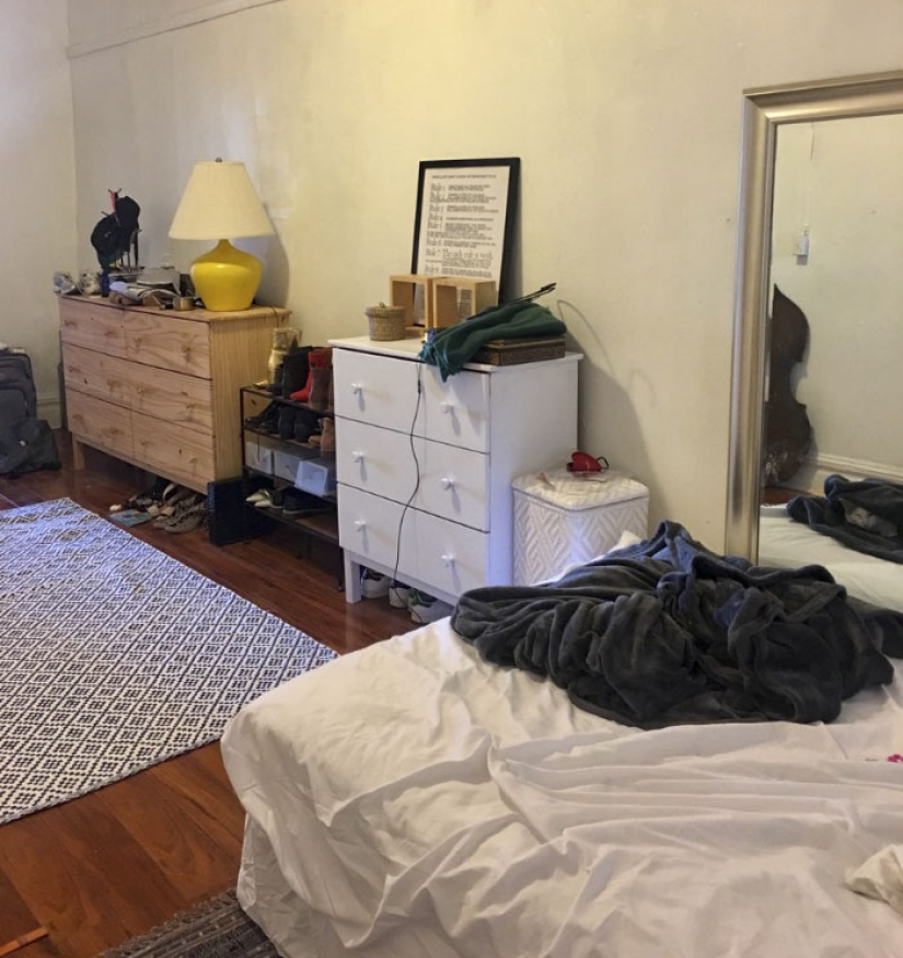 Este gato ninja se esconde en un lugar nuevo todos los días, y no es tan fácil encontrarla Este gato ninja se esconde en un lugar nuevo todos los días, y no es tan fácil encontrarla