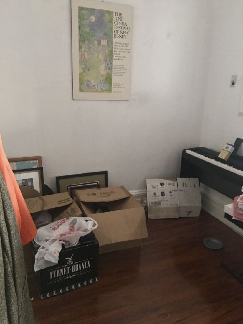 Este gato ninja se esconde en un lugar nuevo todos los días, y no es tan fácil encontrarla Este gato ninja se esconde en un lugar nuevo todos los días, y no es tan fácil encontrarla