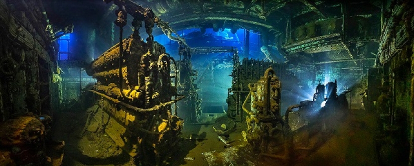 Este maravilloso mundo submarino: las mejores imágenes del concurso de fotografía submarina Ocean Art 2019