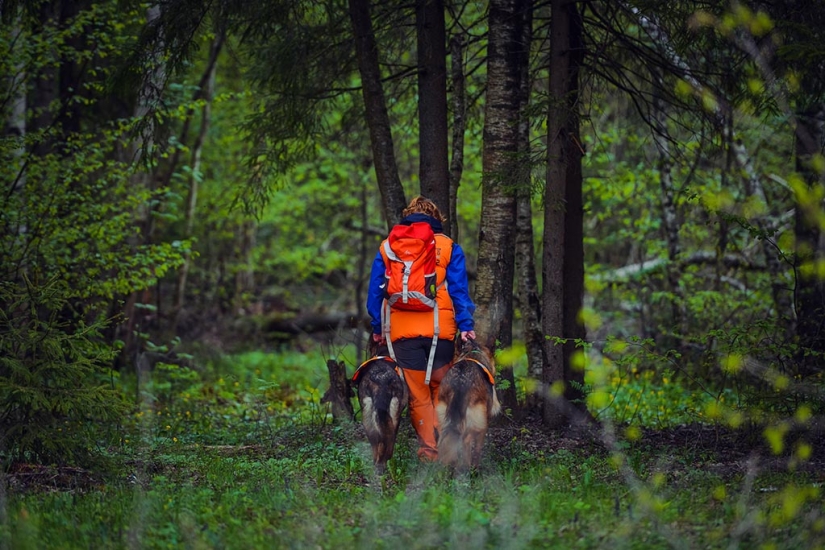"Esto es lo que necesito para ser feliz": Voluntarios de Lisa Alert-sobre su trabajo