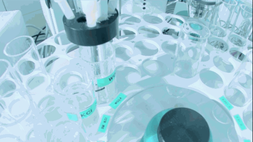 Estos cónyuges clonaron con éxito a su perro después de su muerte