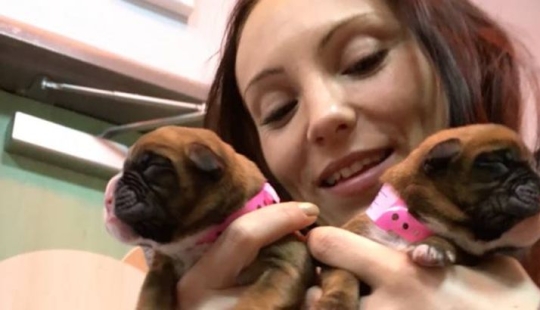 Estos cónyuges clonaron con éxito a su perro después de su muerte