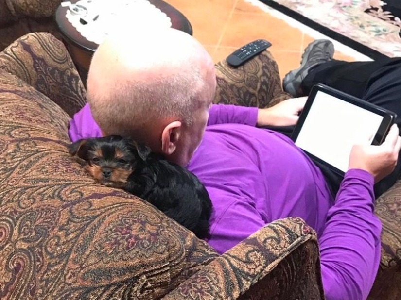 Estos padres categóricamente no querían mascotas en la casa, pero algo salió mal...
