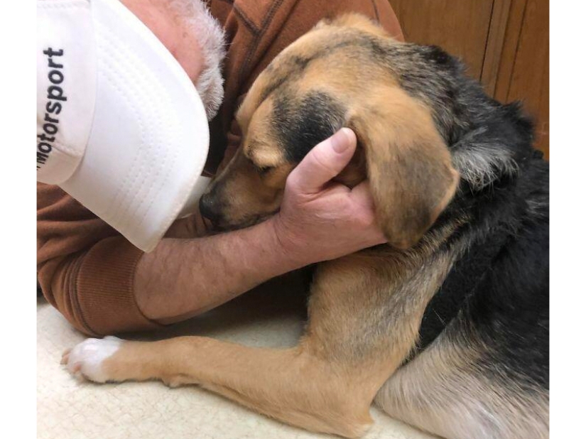 Estos padres categóricamente no querían mascotas en la casa, pero algo salió mal...