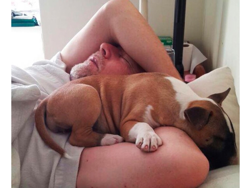 Estos padres categóricamente no querían mascotas en la casa, pero algo salió mal...