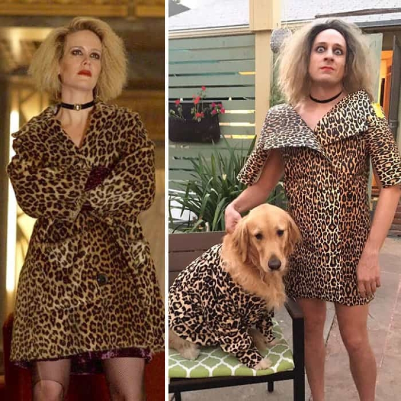 Estrella de Pasta y papel de aluminio: Talentoso comediante se burla de las celebridades