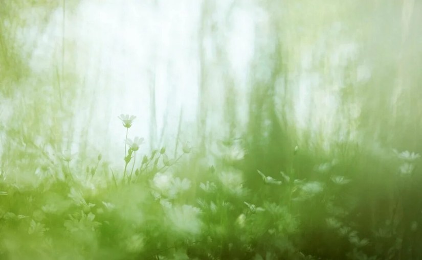 Estreno del Foro de la Unión de Fotógrafos de Vida Silvestre-Nature Photo Talks Estreno del Foro de la Unión de Fotógrafos de Vida Silvestre-Nature Photo Talks