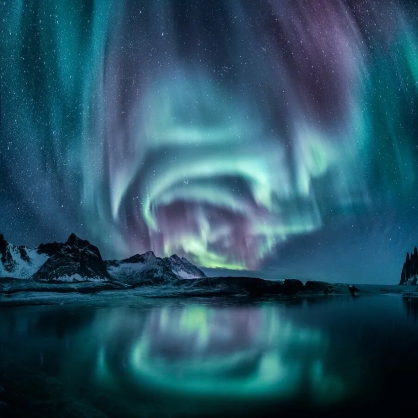 Estreno del Foro de la Unión de Fotógrafos de Vida Silvestre-Nature Photo Talks Estreno del Foro de la Unión de Fotógrafos de Vida Silvestre-Nature Photo Talks